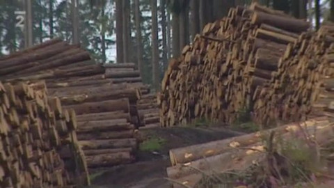 Nedej se! - Lesy ČR 2.