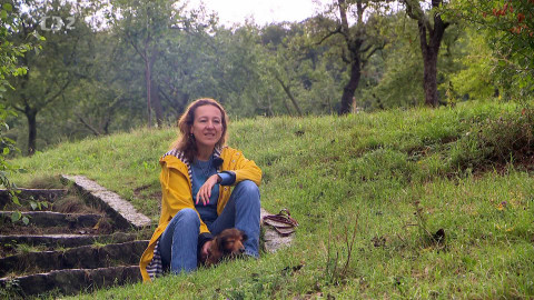 Nedej se! - Petřínská iniciativa