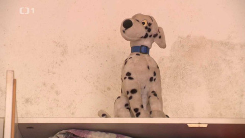 Černé ovce - 21. září 2022