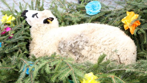 Naše tradice - Posvícení a hody