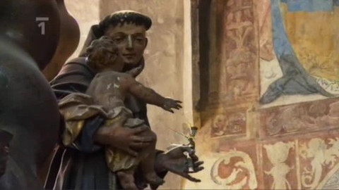 Toulavá kamera - 9. srpna 2009