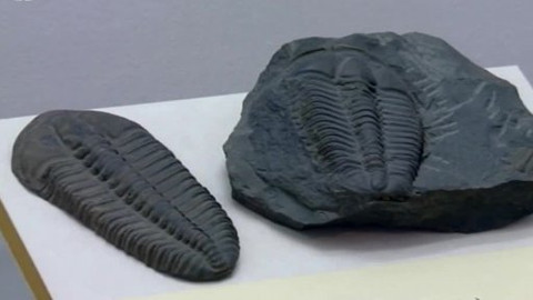 Toulavá kamera - 1. září 2013