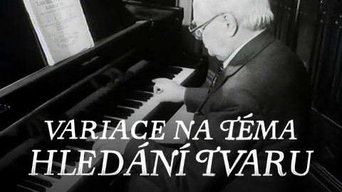 Variace na téma hledání tvarů