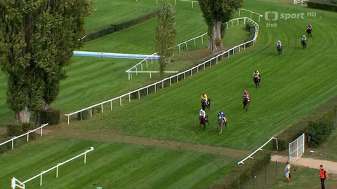 Dostihy - Westminster Cena Zimní královny