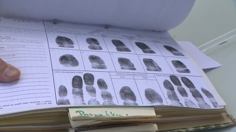 Pološero - Jak to vidí mordparta