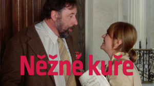 Obrázek pořadu Něžné kuře