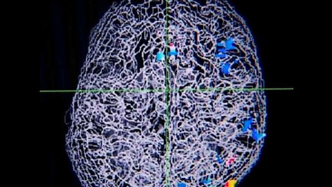 Popularis - 24. července 2003