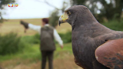 Terčin zvířecí svět - 29. října 2021