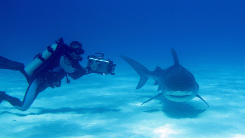 60 zvířecích zabijáků - Epizoda 17/20