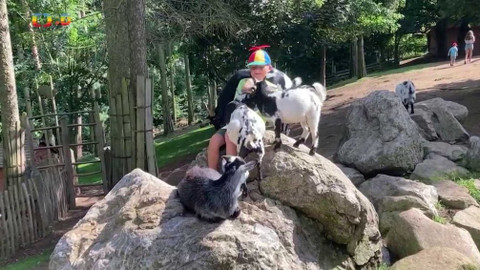 Zprávičky - 29. srpna 2021