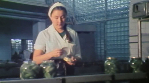 Archiv dne - 14. srpen 1982: Okurková sezóna