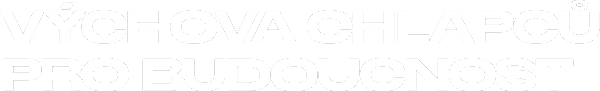 Výchova chlapců pro budoucnost