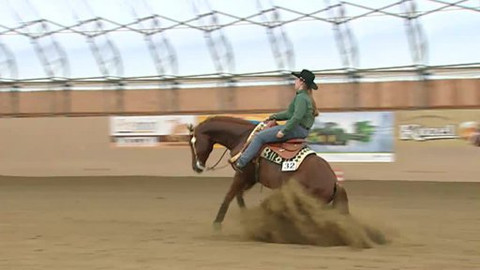 Jezdectví - M ČR v reiningu Krakovany