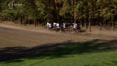 Velká pardubická - 128. Velká pardubická s Českou pojišťovnou