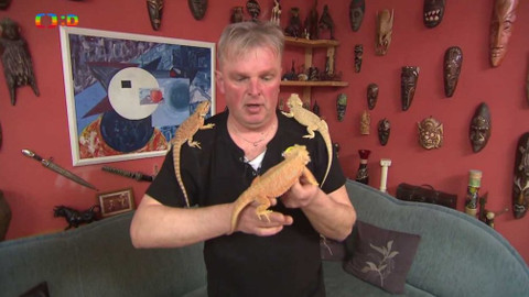 Telefon - 8. dubna 2016