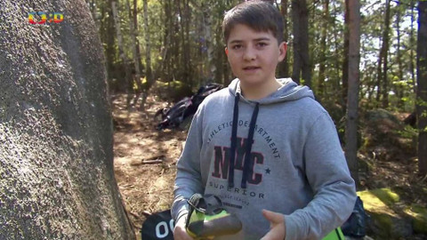 Lvíčata - 5. června 2021