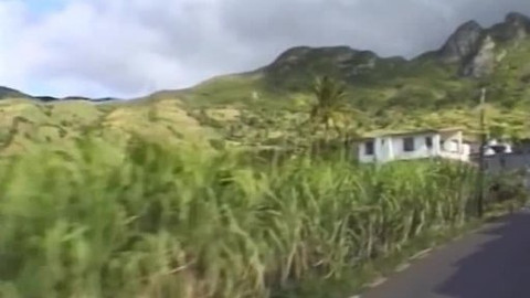 Dětská encyklopedie světa - 9/21 Cukr