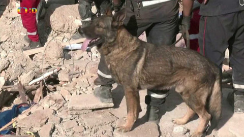 Zprávičky - 13. září 2023