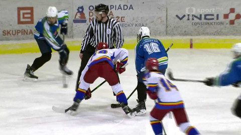 Olympiáda dětí a mládeže - Lední hokej