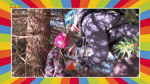 Tamtam - 28. prosince 2019