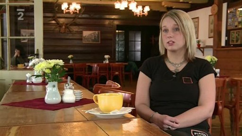 Hledám práci - 8. února 2011