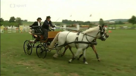 Jezdectví - M ČR a finále Zlaté podkovy v jezdecké všestrannosti