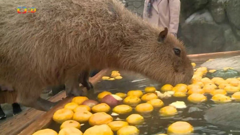 Zprávičky - 24. prosince 2019