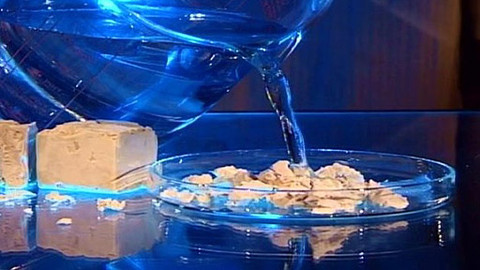 Pod pokličkou - Z kvašeného těsta k domovu je cesta