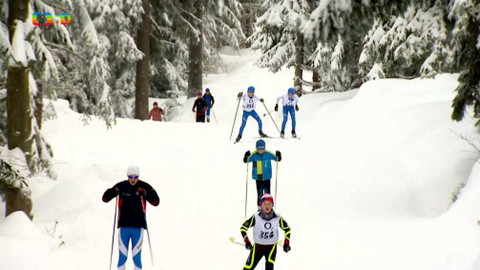 Lvíčata - 13. ledna 2018