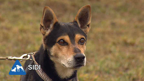 Chcete mě? - Chcete je?