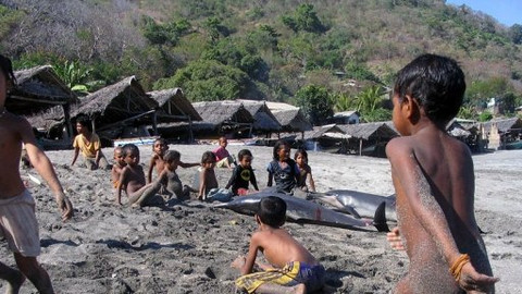 Na cestě - Na cestě po Lamaleře