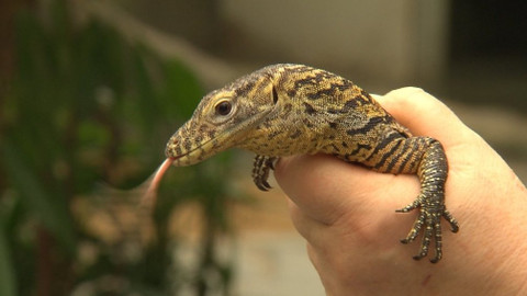 Chcete mě? - 15. října 2017