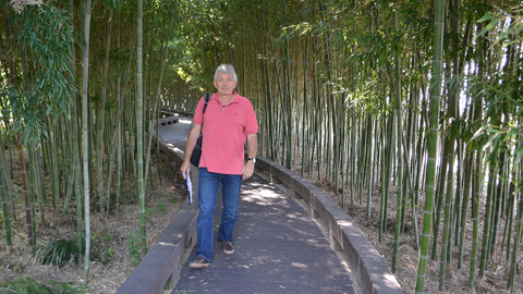 Postřehy odjinud - Korea očima Petra Voldána