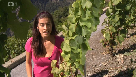 Objektiv - 29. listopadu 2015