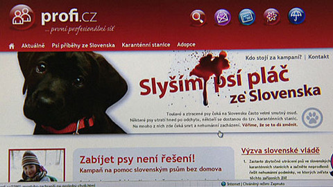 Chcete mě? - 29. května 2011