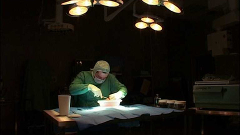 Popularis - 5. června 2003