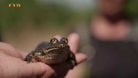 Zprávičky - 3. května