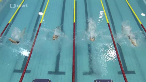 Sport v regionech - Velká cena Brna v plavání