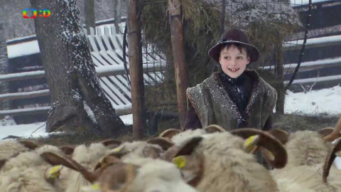 Draci v hrnci - Pohanka a zelí všechny rozveselí