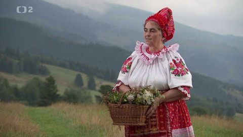 Kvarteto - Léčivá síla přírody