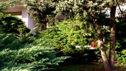 2 minuty o klimatu - Zelené střechy