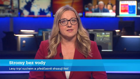 Události v regionech (Brno) - 6. srpna