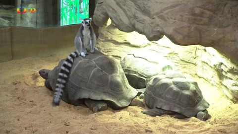 Zprávičky - 4. října 2019