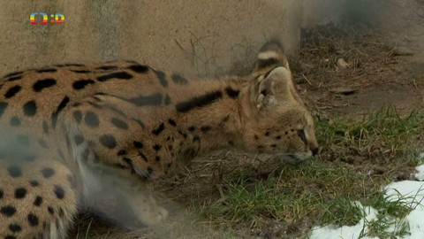 Terčin zvířecí svět - 24. března 2023