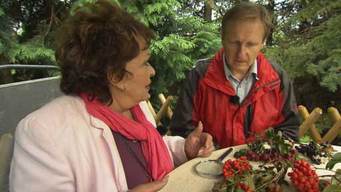 Hobby naší doby - 7. prosince 2013