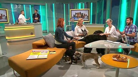 Dobré ráno - 9. května 2013