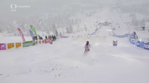 Světový pohár ve freestyle lyžování - Švédsko