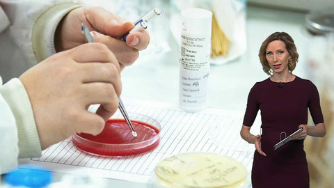 Horizont ČT24 - 17. prosince