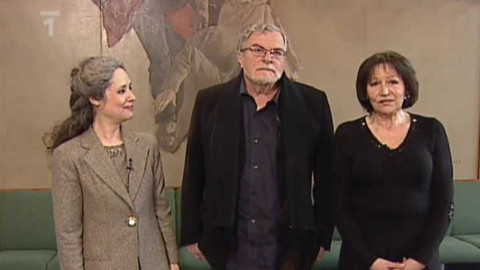 Adventní koncerty České televize - Rozdělení konta Adventních koncertů 2008