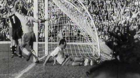 Archiv D - Fotbal je jeden